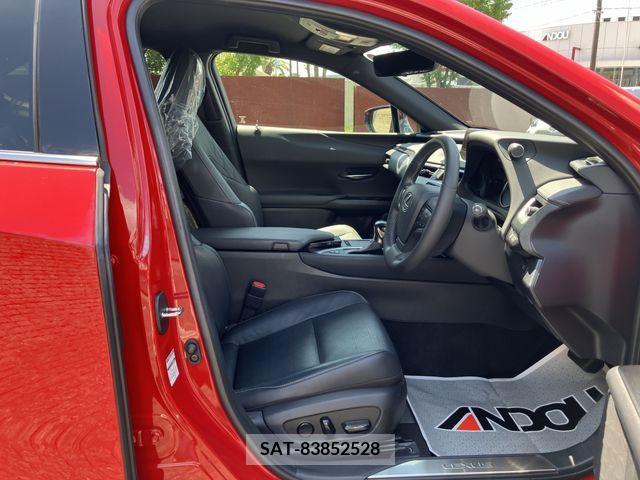 Lexus UX 2019-12 363073-9