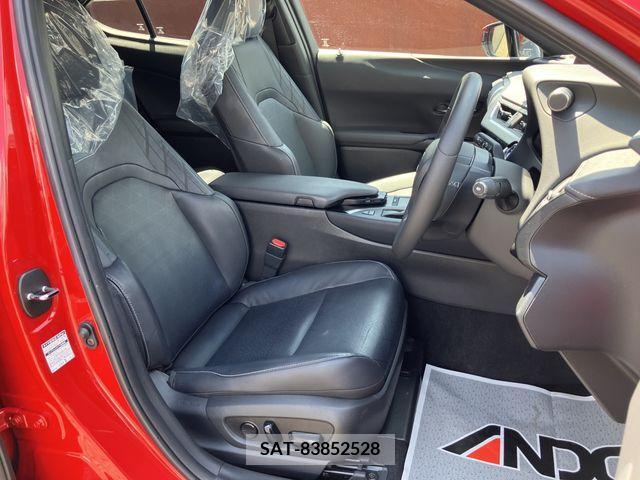Lexus UX 2019-12 363073-11