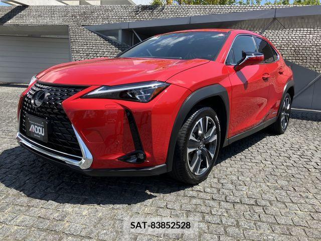 Lexus UX 2019-12 363073-0