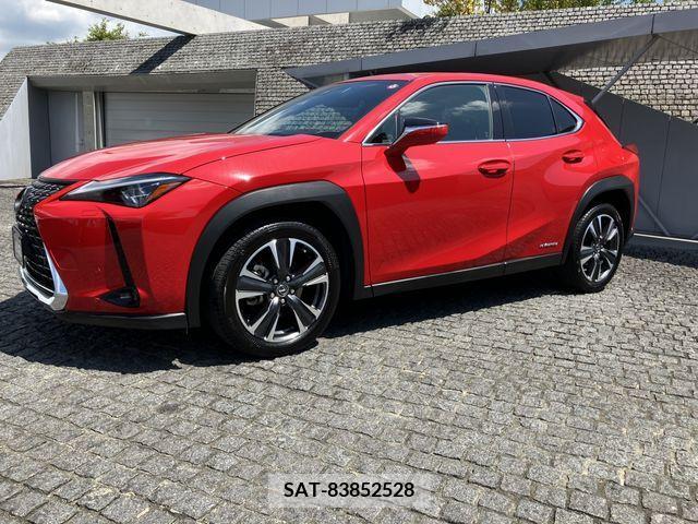 Lexus UX 2019-12 363073-1