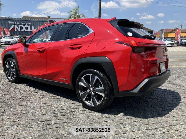 Lexus UX 2019-12 363073-3