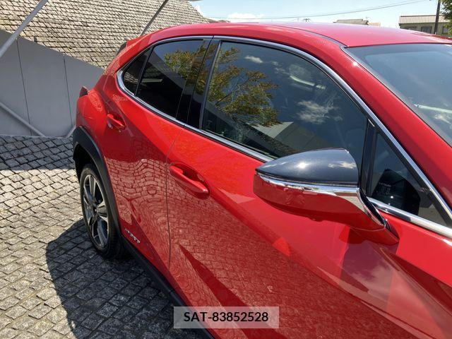 Lexus UX 2019-12 363073-4
