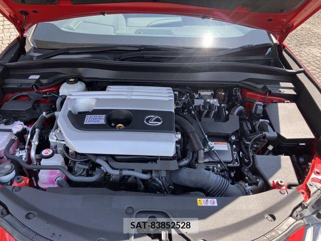 Lexus UX 2019-12 363073-26