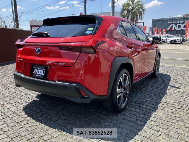 Lexus UX 2019-12 363073-6