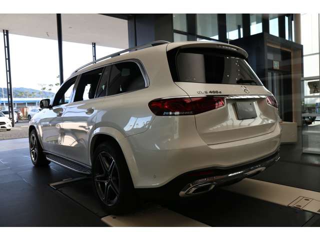 Mercedes Benz GLS-CLASS 2021-06 29226-6