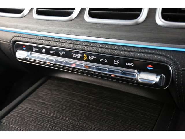 Mercedes Benz GLS-CLASS 2021-06 29226-19