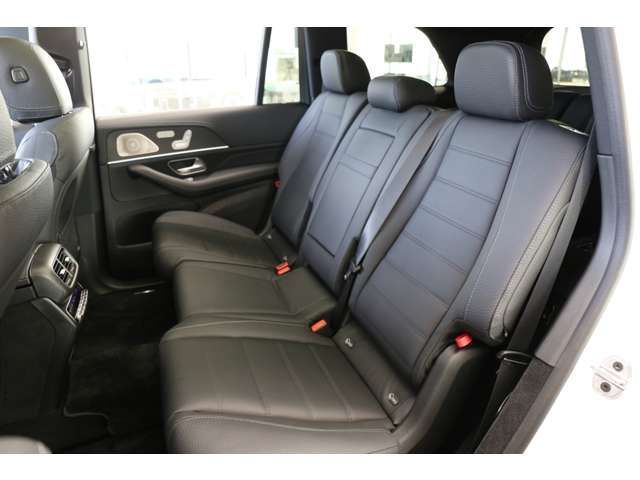 Mercedes Benz GLS-CLASS 2021-06 29226-12