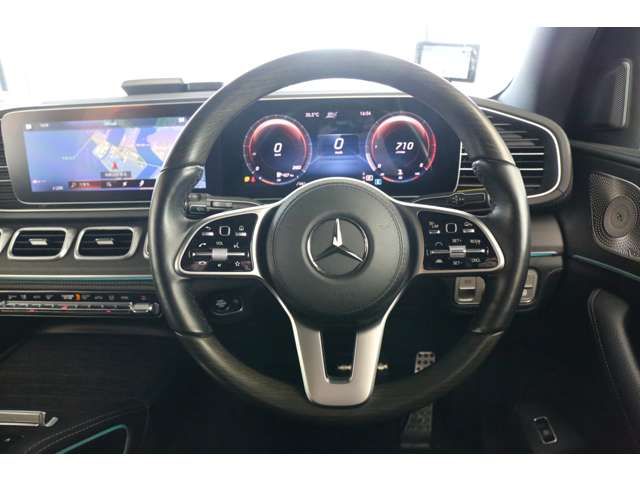 Mercedes Benz GLS-CLASS 2021-06 29226-1