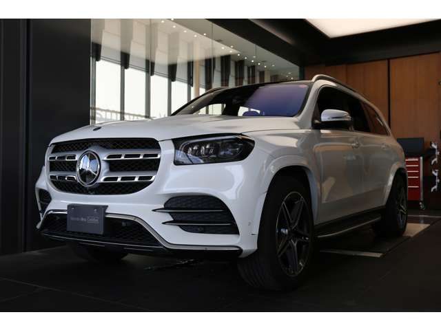Mercedes Benz GLS-CLASS 2021-06 29226-5
