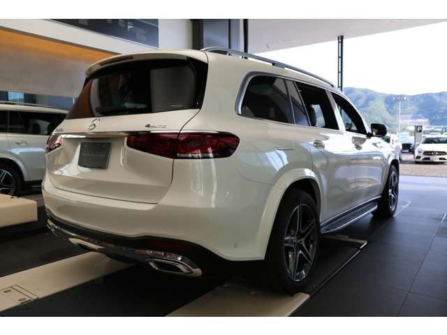 Mercedes Benz GLS-CLASS 2021-06 29226-8