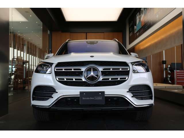 Mercedes Benz GLS-CLASS 2021-06 29226-4