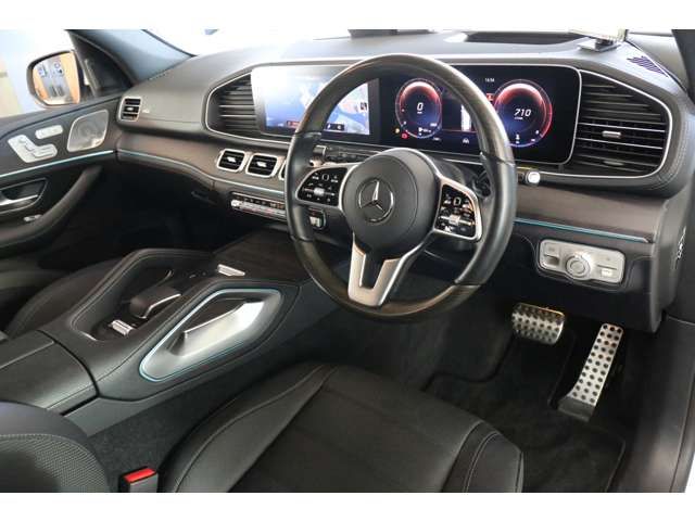 Mercedes Benz GLS-CLASS 2021-06 29226-10