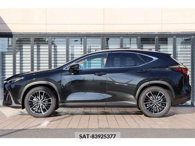 Lexus NX 2023-08 388198-12