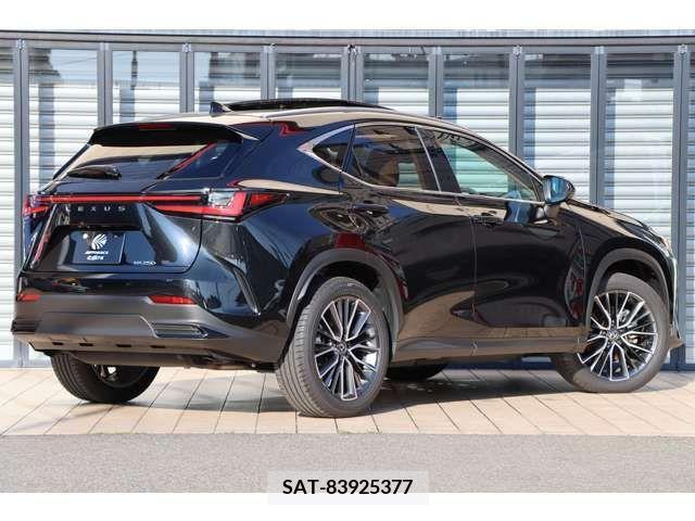 Lexus NX 2023-08 388198-2