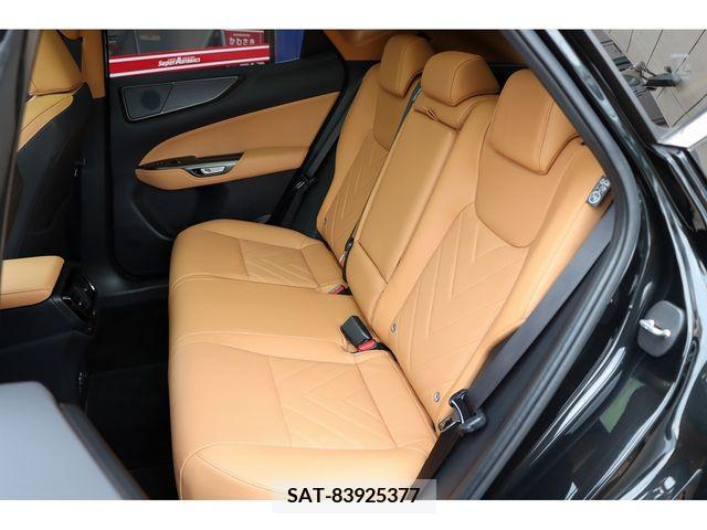 Lexus NX 2023-08 388198-20