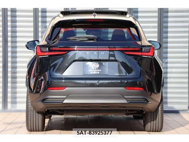 Lexus NX 2023-08 388198-10