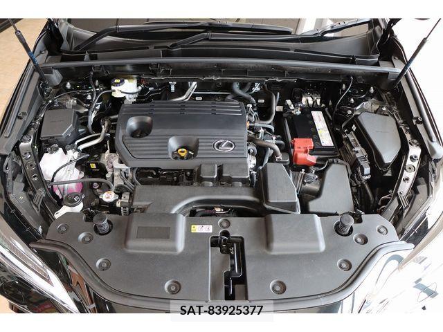 Lexus NX 2023-08 388198-29