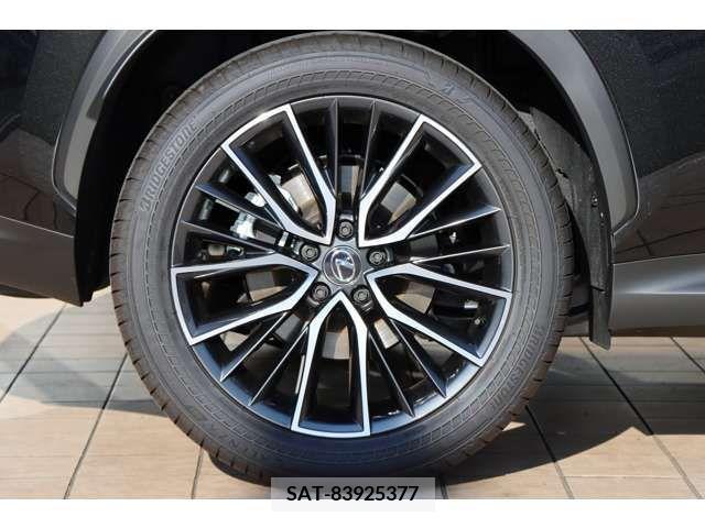 Lexus NX 2023-08 388198-16