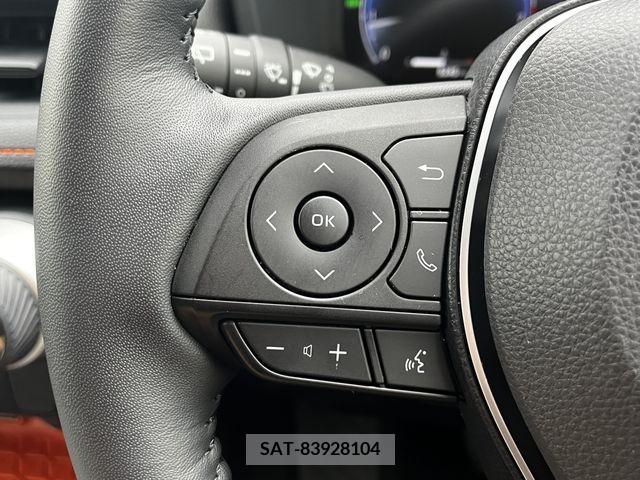 Toyota RAV4 2023-03 313227-10