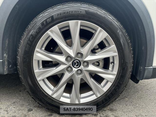 Mazda CX-8 2018-06 266228-12