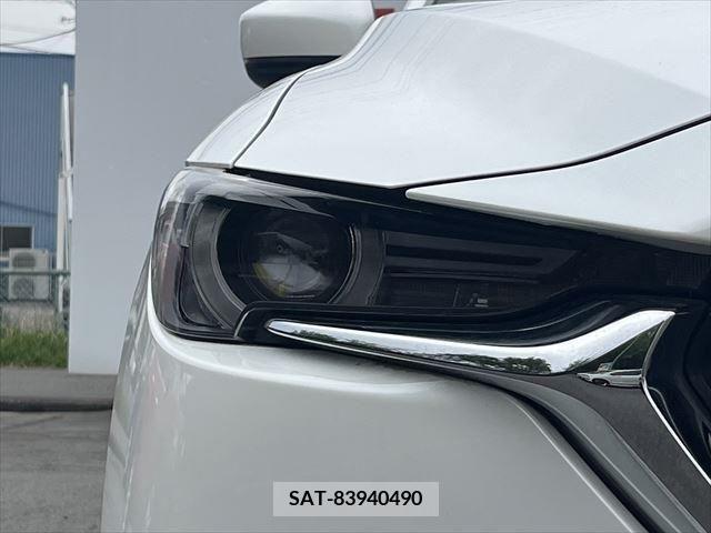 Mazda CX-8 2018-06 266228-9