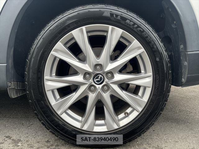 Mazda CX-8 2018-06 266228-14