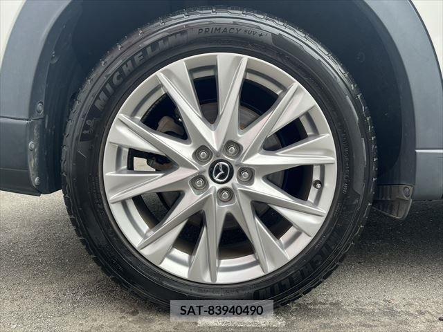 Mazda CX-8 2018-06 266228-13