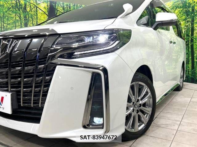 Toyota ALPHARD 2020-10 223157-13