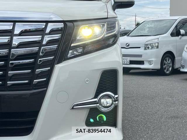 Toyota ALPHARD 2017-06 345482-13