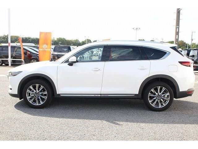 Mazda CX-8 2018-12 8818-6