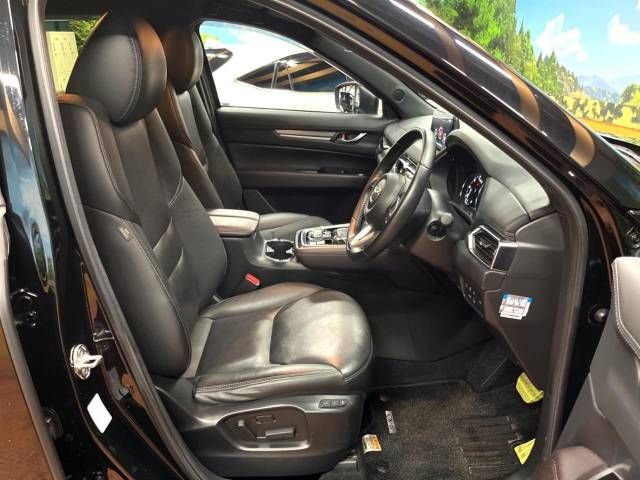 Mazda CX-8 2020-09 185854-8