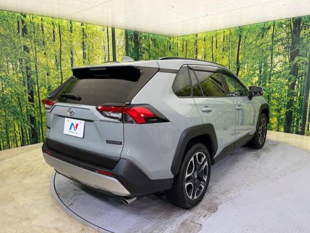 Toyota RAV4 2020-08 185162-17