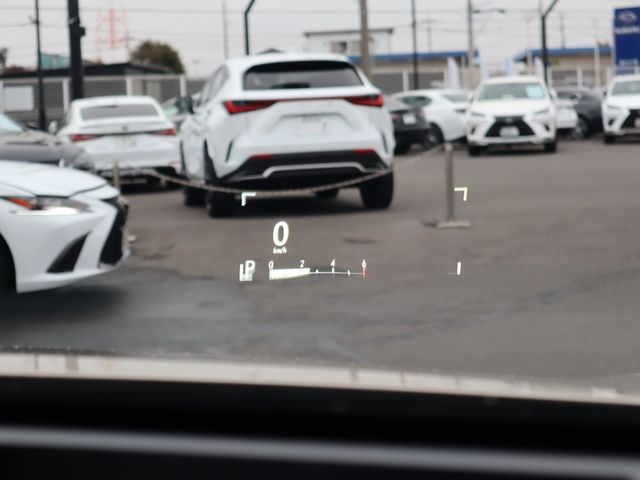 Lexus RX 2018-12 592-18