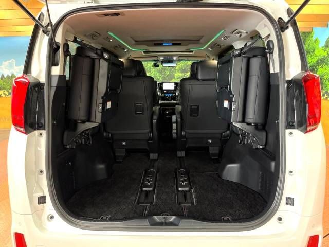 Toyota ALPHARD 2020-07 10995-12