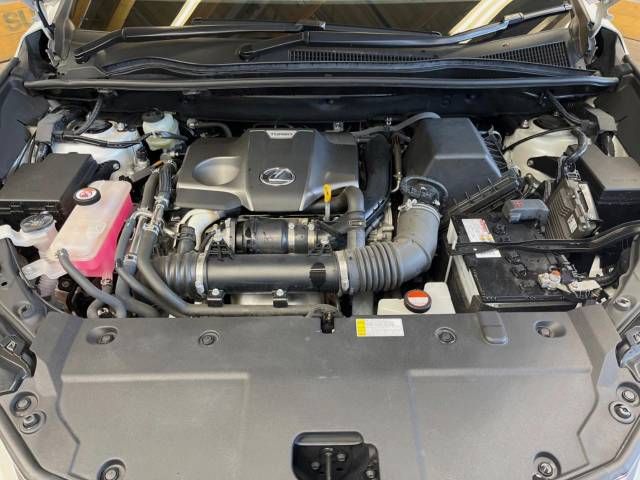 Lexus NX 2015-07 8999-18