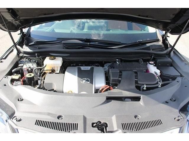 Lexus RX 2020-05 8305-18