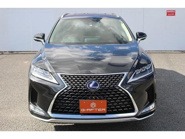 Lexus RX 2020-05 8305-7