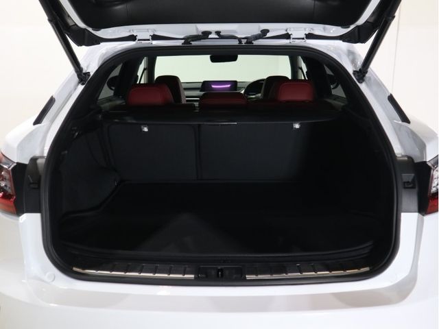 Lexus RX 2016-06 18055-26