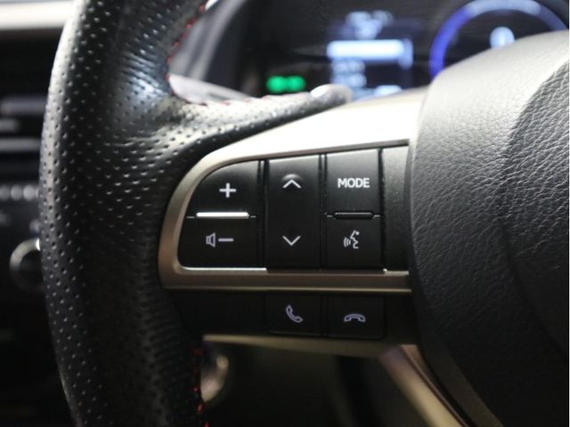 Lexus RX 2016-06 18055-18