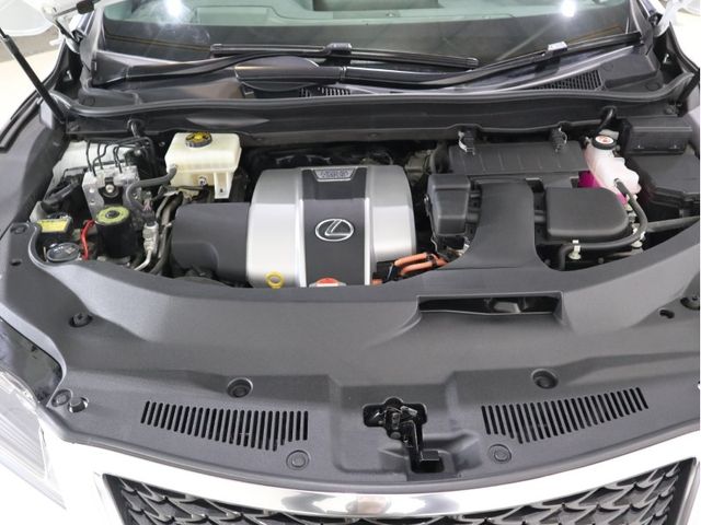 Lexus RX 2016-06 18055-27