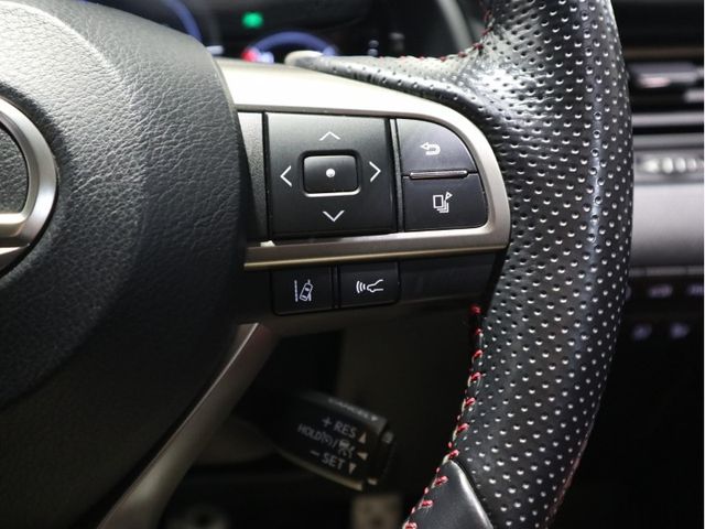 Lexus RX 2016-06 18055-19