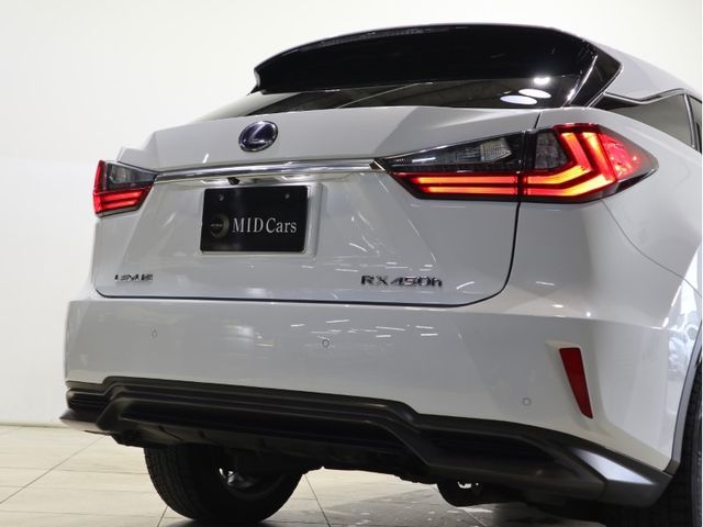 Lexus RX 2016-06 18055-6