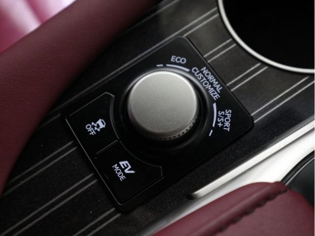 Lexus RX 2016-06 18055-21