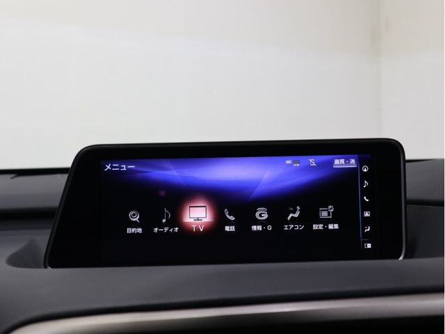 Lexus RX 2016-06 18055-14
