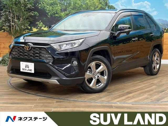 Toyota RAV4 2019-04 189236-0