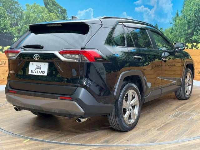 Toyota RAV4 2019-04 189236-17