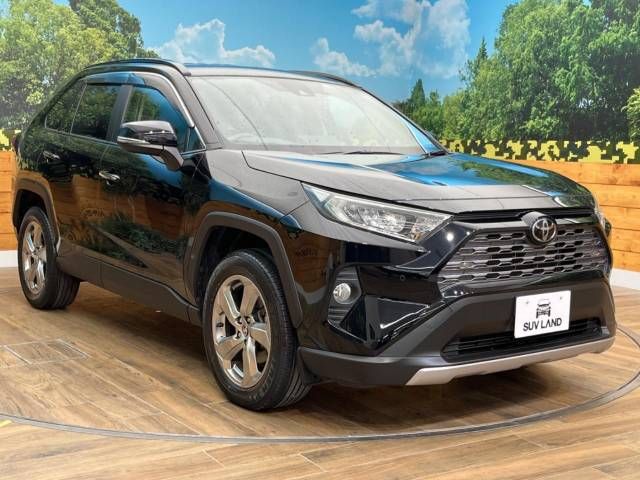 Toyota RAV4 2019-04 189236-16