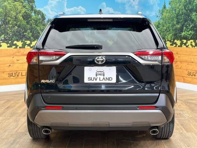 Toyota RAV4 2019-04 189236-15