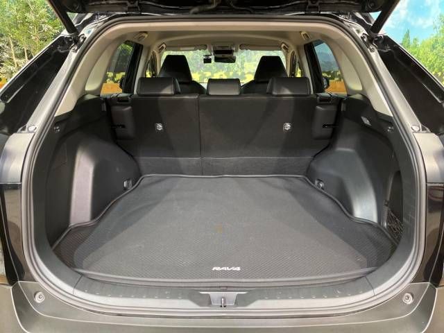 Toyota RAV4 2019-04 189236-11