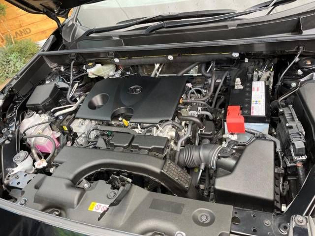 Toyota RAV4 2019-04 189236-18